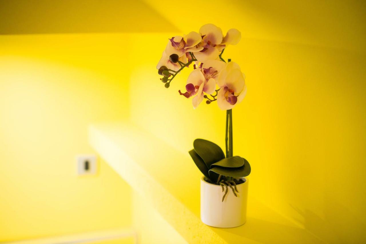 Apartment Jacobs Bled Dış mekan fotoğraf